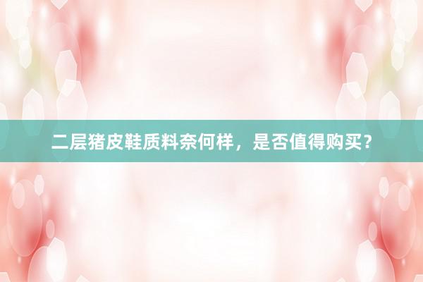 二层猪皮鞋质料奈何样，是否值得购买？