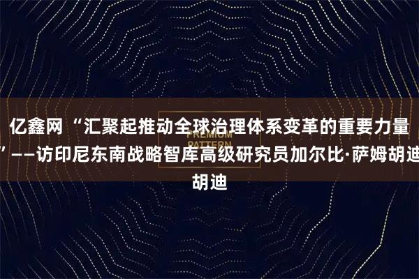 亿鑫网 “汇聚起推动全球治理体系变革的重要力量”——访印尼东南战略智库高级研究员加尔比·萨姆胡迪