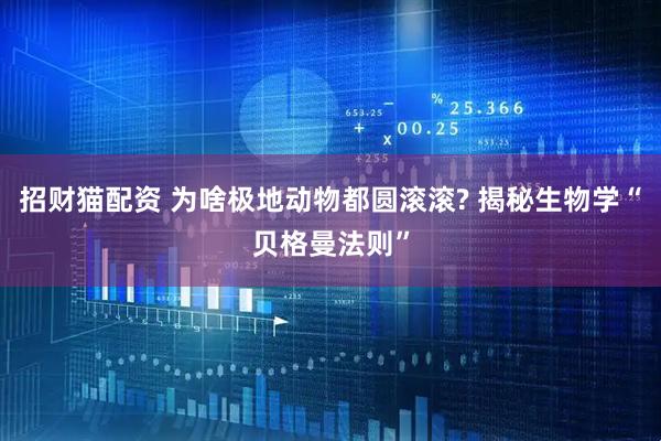 招财猫配资 为啥极地动物都圆滚滚? 揭秘生物学“贝格曼法则”