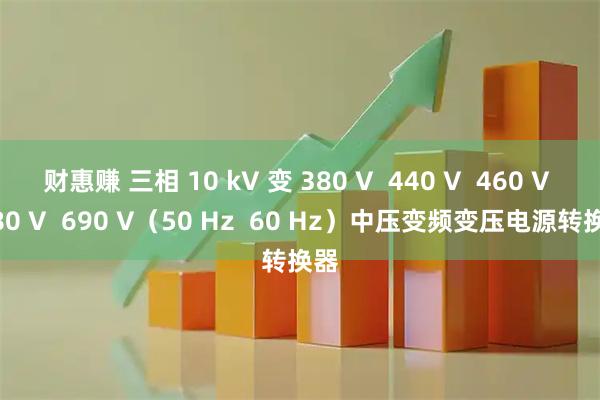 财惠赚 三相 10 kV 变 380 V  440 V  460 V  480 V  690 V（50 Hz  60 Hz）中压变频变压电源转换器