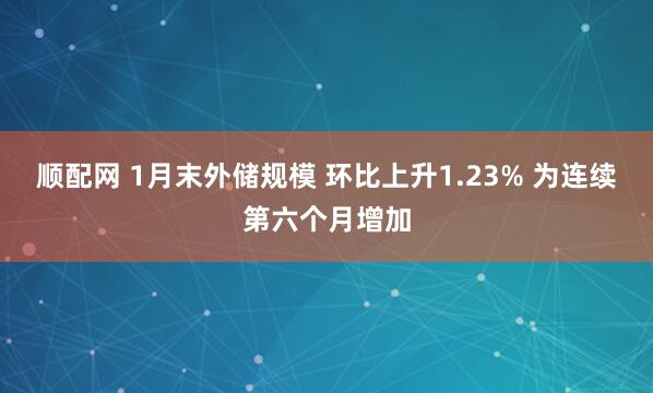 顺配网 1月末外储规模 环比上升1.23% 为连续第六个月增加