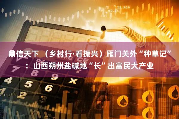 鼎信天下 （乡村行·看振兴）雁门关外“种草记”：山西朔州盐碱地“长”出富民大产业